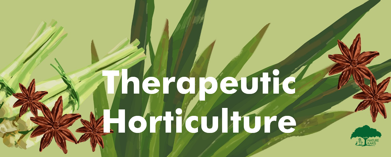 Illustration of common plants used in therapeutic horticulture programmes
